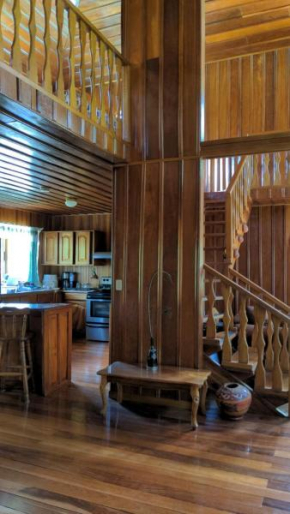 Rossy's Villa and garden's